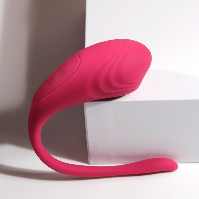 G Spot Vibrator - Klitoris & Fernbedienung