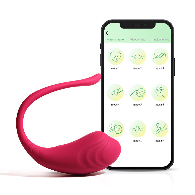 G Spot Vibrator - Klitoris & Fernbedienung